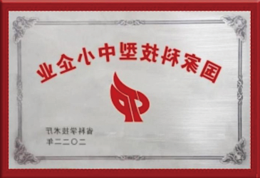国家科技型上小企业
